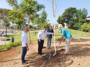 עיר בוסתן: עיריית לוד הפיצה סקר על עצי פרי בקרב התושבים