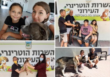 יום אימוץ בשירות הווטרינרי המתחדש של לוד-  שישי 2.7.21