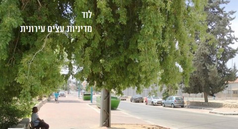 נטיעת 1,000 עצים בסיוע התושבים: מיזם "מעמיקים שורשים" של עיריית לוד יוצא לדרך