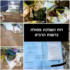 עשרות דוחות קנס חולקו על פגיעה באיכות החיים והסביבה בלוד