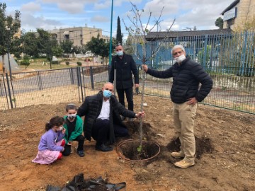 נוטעים שורשים בלוד