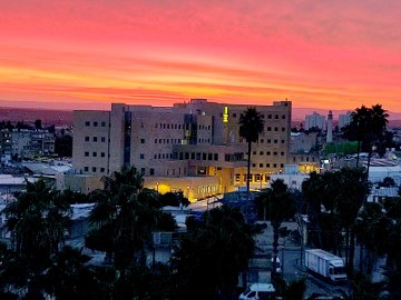 מדור ה'משקפת': הצצה ל'מאחורי הקלעים' בעיריית לוד