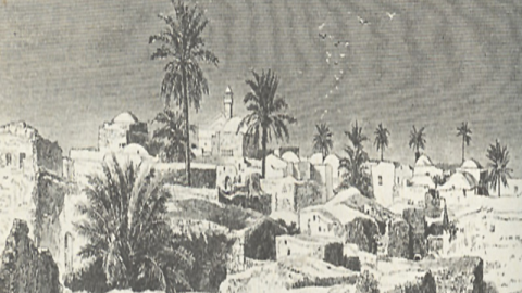 העיר-המזרחית-על-גגותיה-המקומרים-ודקליה-המתמרים-1884.png