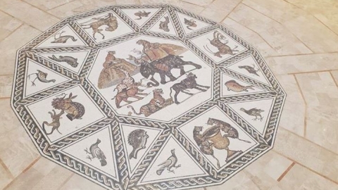 מאגר חופשי לשימוש - עיריית לוד