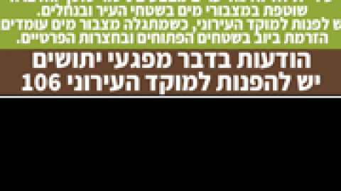 יתושים.png