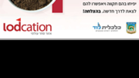 ווי-19.png