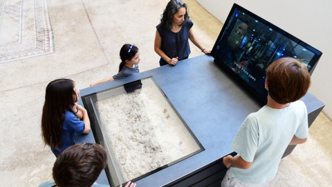 בחול המועד סוכות: חוויה משפחתית במוזיאון הפסיפס בלוד