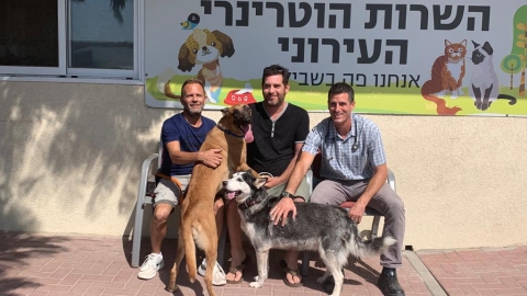לא רק כלבייה עירונית  -  דע את המחלקה - סיכום 2023 בשירות הווטרינרי העירוני