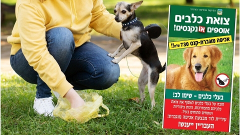 אכיפה נחושה בלוד: למען סדר ציבורי ואיכות חיים גבוהה!