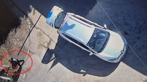 אלמוני נטש גורי כלבים בשערי הכלבייה העירונית בלוד – אותר ונקנס!