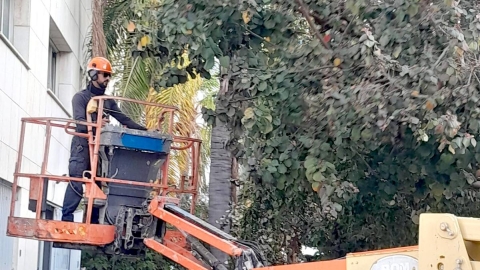 עיריית לוד נערכה לקראת סופת 'קורל' שעברה בשלום