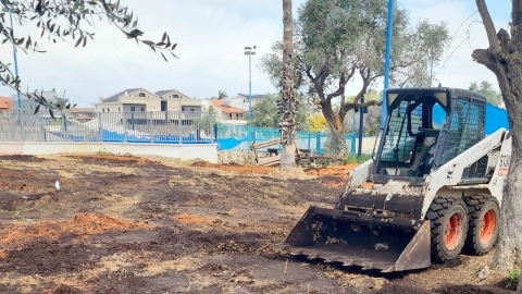 הבריכה העירונית בלוד מתחדשת ב-7 דונם של מדשאות רעננות