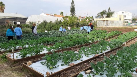 היחידה לאיכות הסביבה בלוד: כשאתם פוגעים בטבע – אתם פוגעים בבריאות שלכם!