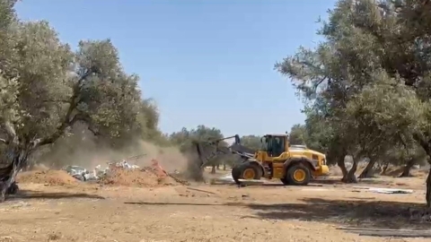 בשיתוף פעולה של השיטור והפיקוח העירוני: יד קשה ואכיפה כנגד פורעי חוק בלוד