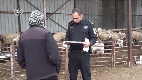 מבצע אכיפה משולב כנגד עבירות צער בעלי חיים ואיכות הסביבה בלוד