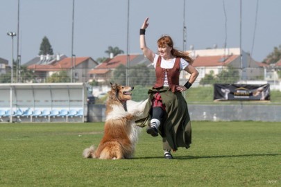 זה כבר הפך לשגרה ברוכה: גם השנה אירחה העיר לוד את אליפות ישראל באילוף כלבים