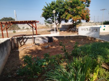חזות עיר סביבתית יותר - 5 מיזמים קהילתיים שעושים את השינוי