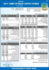 תמצית הדוחות הכספיים לשנת 2017