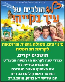 הולכים על עיר נקייה! פינוי גזם, פסולת גושית וגרוטאות לקראת חג הפסח
