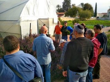 "חקלאות עירונית" בלוד