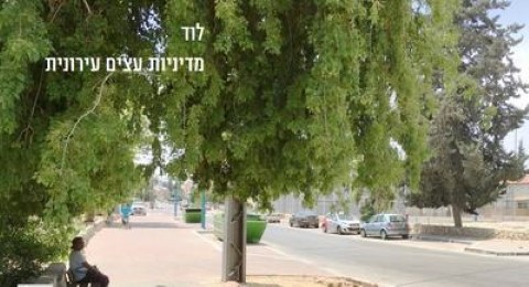 לוד - עיר בוסתן!