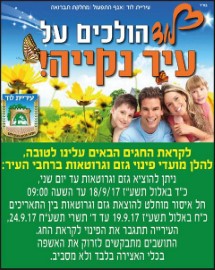מועדי פינוי גזם וגרוטאות ברחבי העיר לקראת ראש השנה