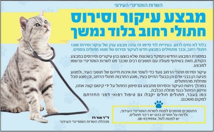 מבצע ענק נוסף לעיקור וסירוס חתולי רחוב בלוד
