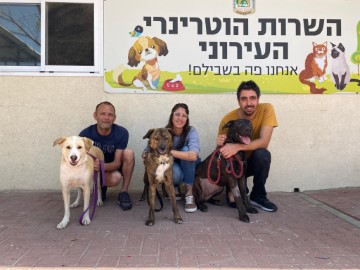 הרחבת שעות הפעילות לקבלת קהל בשירות הווטרינרי העירוני בלוד