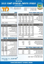 תמצית הדוחות הכספיים לשנת 2015