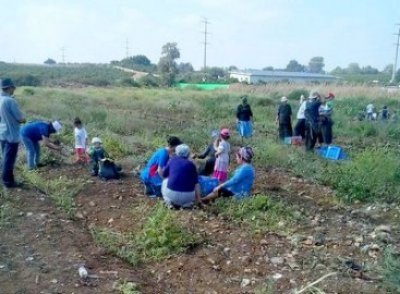 כולנו לודאים זה לזה