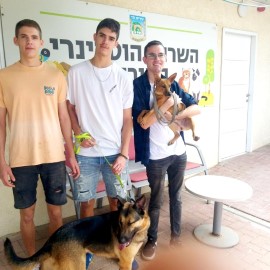 בחירה לבבית בדרך לקלפי: משפחת טלמור אימצה כלבים מהשירות הווטרינרי בלוד