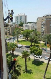 סנפלינג בלוד