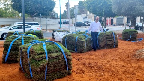 תמה שנת השמיטה: עשרות אלפי שתילי פרחים ומאות עצים חדשים יפארו את העיר לוד
