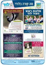 מה קורה בלוד? הודעות העירייה (1)