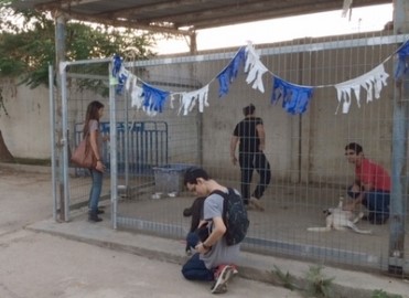 תכנית ייחודית לפיתוח חמלה, רגישות  ויחס הוגן לבעלי חיים בלוד