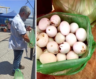 ביצים ללא סימון אותרו בשוק העירוני בלוד – והושמדו ע"י השירות הווטרינרי