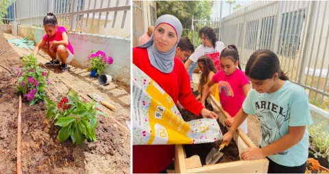גינה ירוקה בשכונת נווה ירק בלוד על חורבות הספרייה שנשרפה