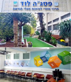 בהשתתפות נציגים מ-48 מדינות: "פסג"ה לוד" תציג בביאנלה