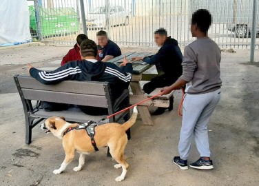 תלמידים מביה"ס "נטעים" לחינוך מיוחד בלוד מתנדבים בכלבייה העירונית